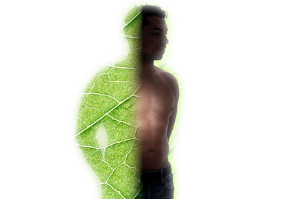 Vegeto Körper & Atemtherapie